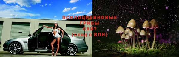 метадон Аркадак