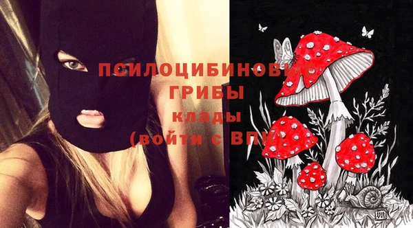 прущие крисы Арсеньев