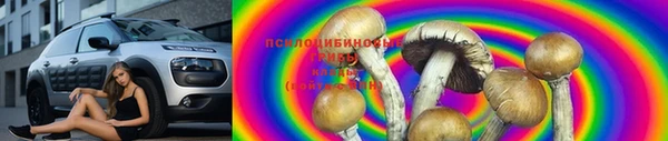 прущие крисы Арсеньев