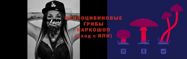 а пвп мука Армянск