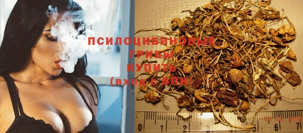 прущие крисы Арсеньев