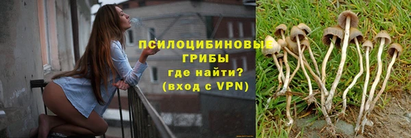 прущие крисы Арсеньев