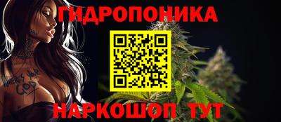 стаф Ливны